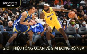 Giới thiệu tổng quan về giải bóng rổ NBA